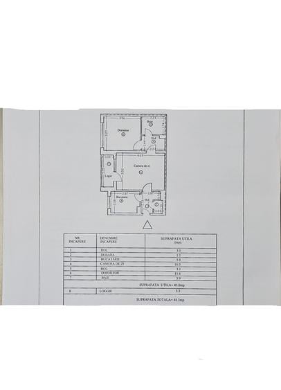 ROANDY-Apartament cu centrala termica proprie-Ultracentral - 6