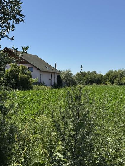 Teren de 2000 mp, în Hălchiu
