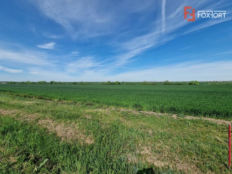 Teren agricol extravilan de 9500 mp, în Remetea Mare