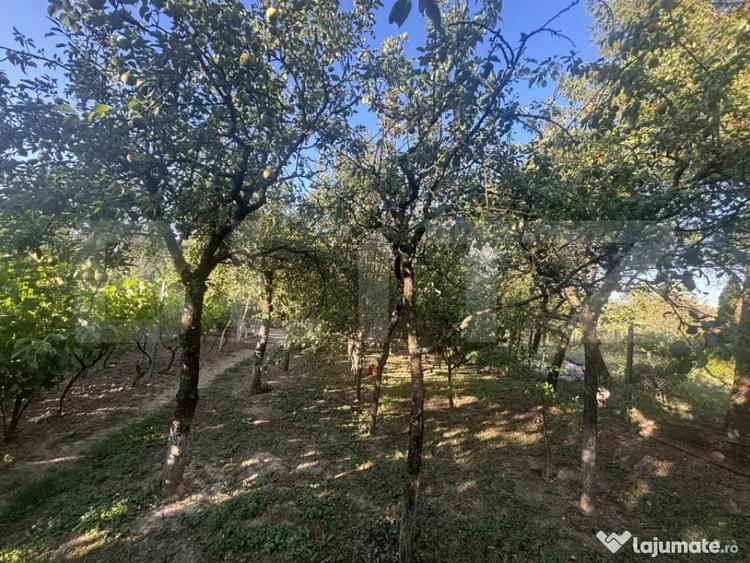 Casă cu 2 camere cu Teren 1021 Mp în Viile Satu Mare