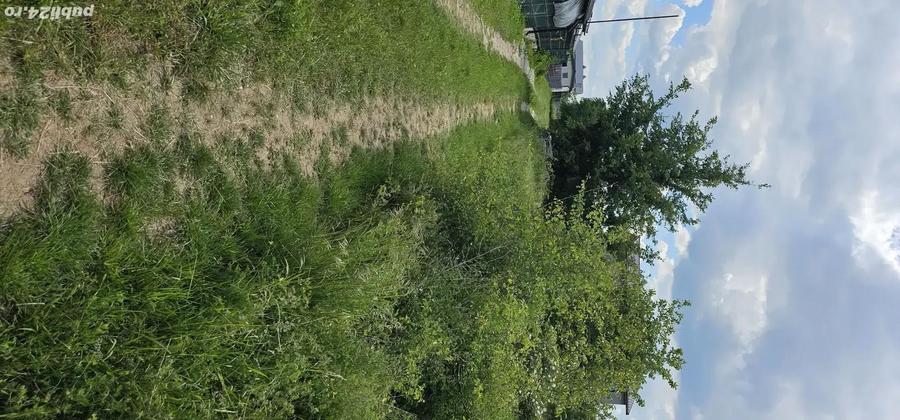 Urgent! Vand teren 750MP in Domnesti Ciutaci Ilfov - 5