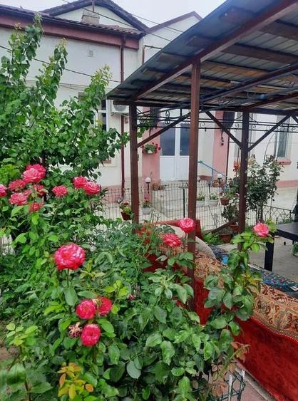 Casă cu 2 camere cu Canalizare în Apollo