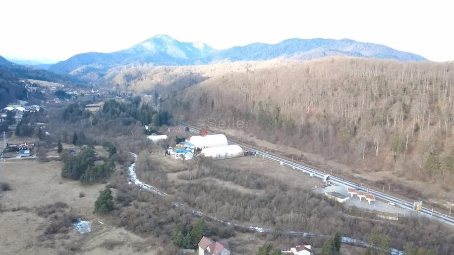 Teren Construcții intravilan de 8444 mp, în Timișu de Jos