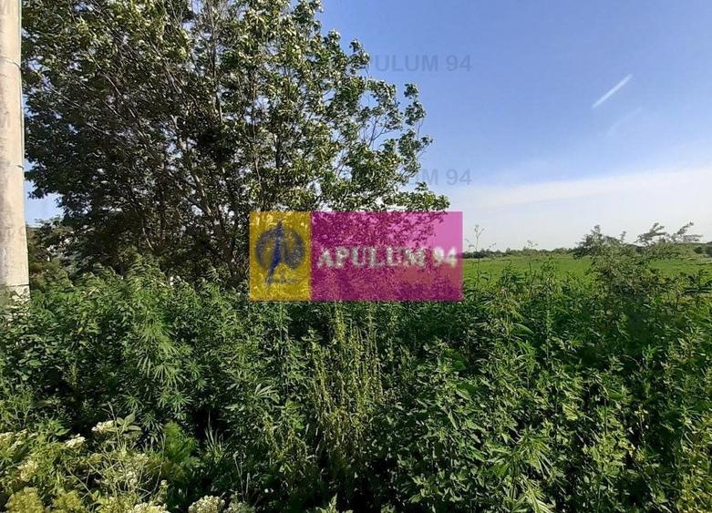 Teren Construcții intravilan de 5000 mp, în Copăceni