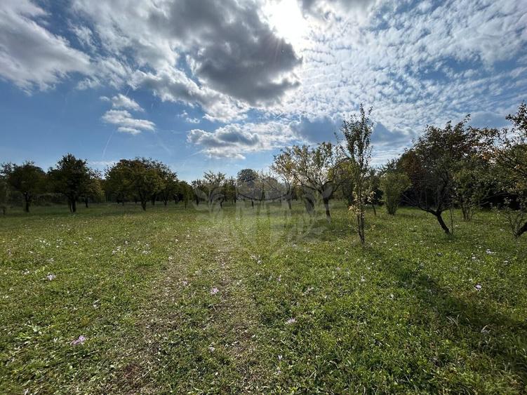 Teren Construcții intravilan de 11000 mp, în Central