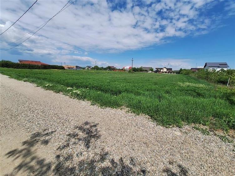 Teren Construcții intravilan de 3177 mp, în Șerbănești
