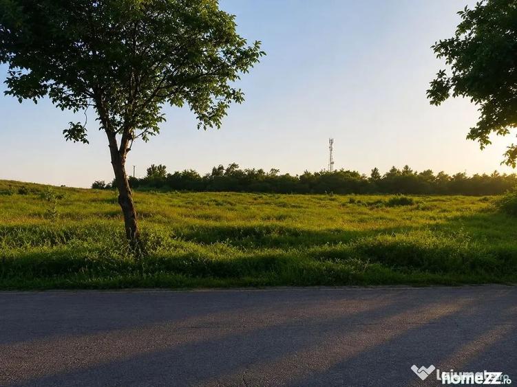 Vanzare teren intravilan 9.500 mp, DN26 -Padurea Gar... - 1