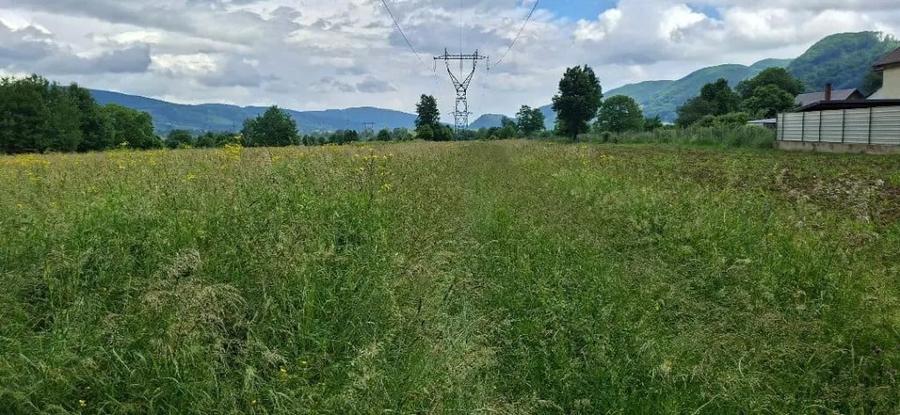 Teren de 2650 mp, în Central