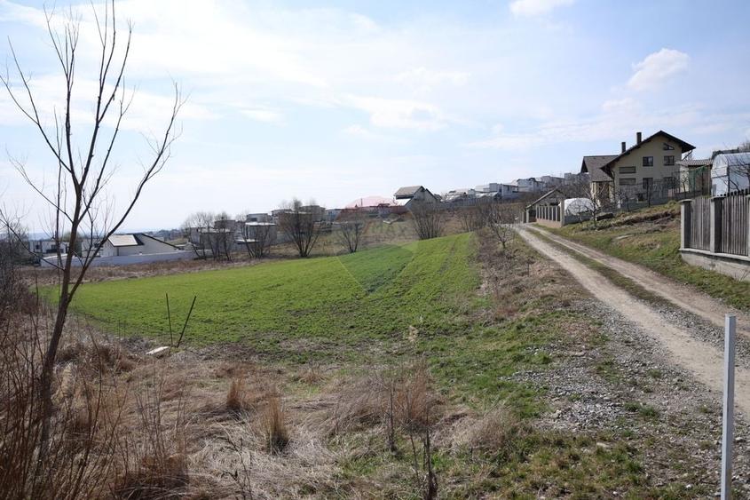 Teren Construcții intravilan de 3500 mp, în Moara