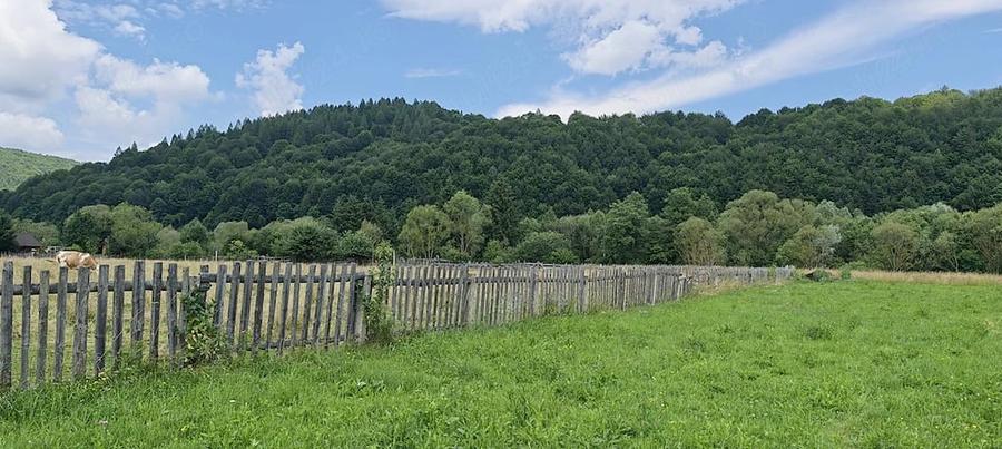 Teren de 4950 mp, în Vama Buzăului