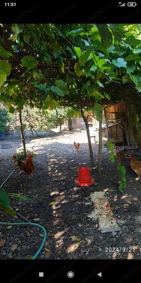 Casă cu 2 camere cu Teren 1100 Mp în Pucioasa-Sat