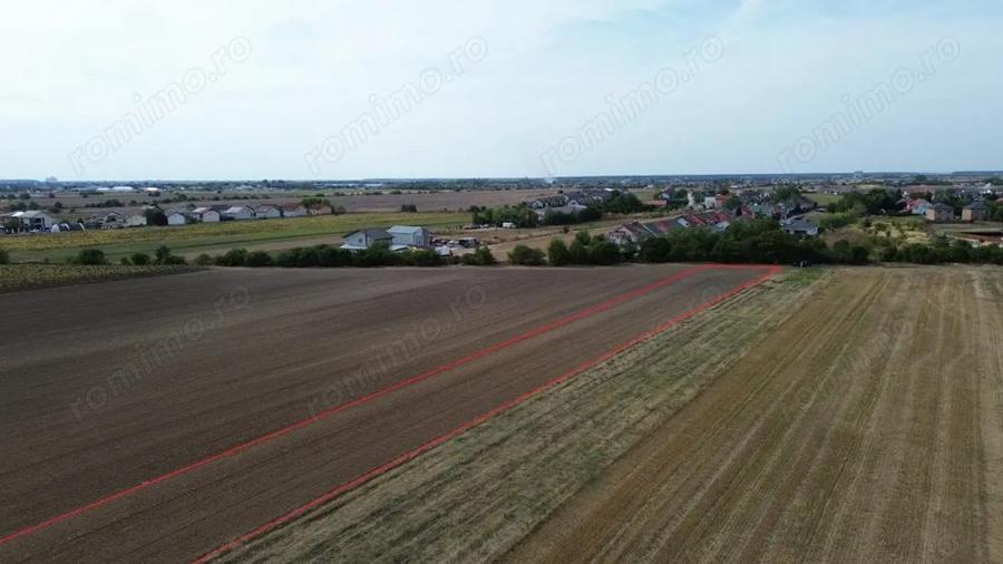 Teren de 6000 mp, în Dârza