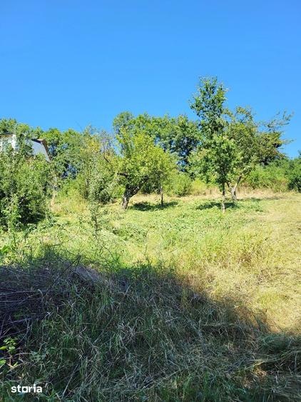 Teren de 1500 mp, în Ilieni