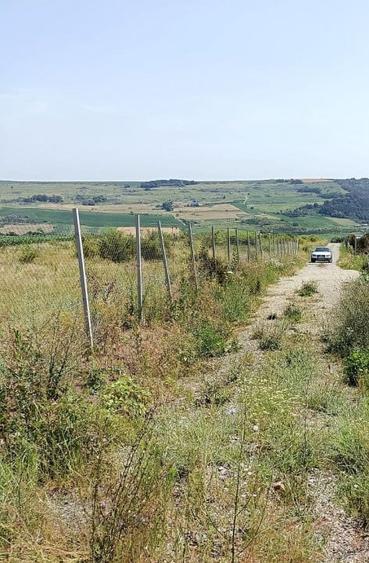 Teren agricol extravilan de 581 mp, în Exterior Nord