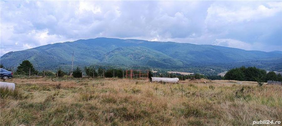 Teren de 5050 mp, în Nucșoara