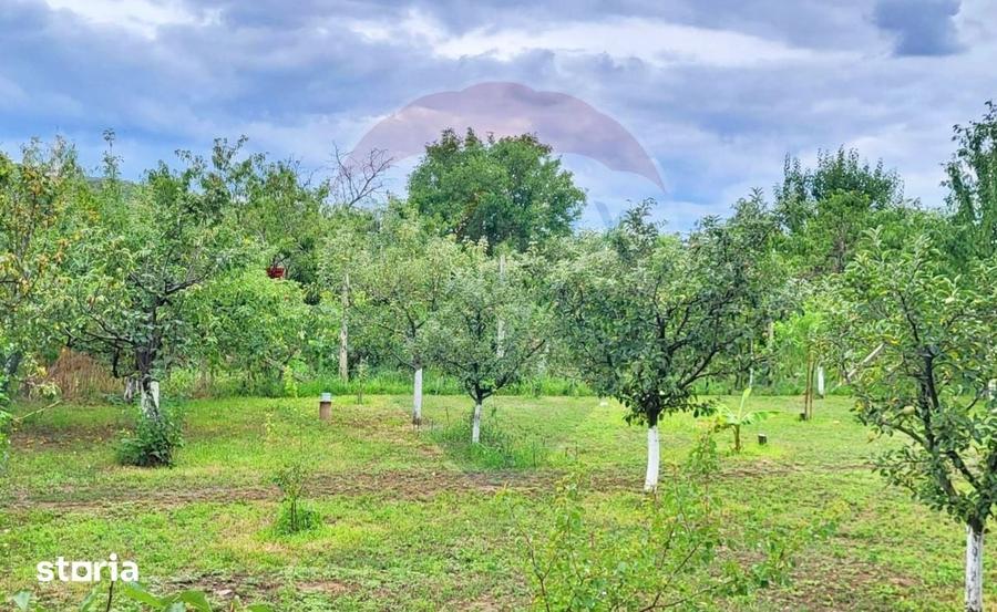 Casă cu 3 camere cu Teren 1237 Mp în Ghioroc