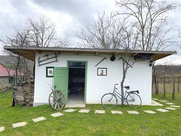 Casa de vanzare in Nufaru-judet Tulcea - 33