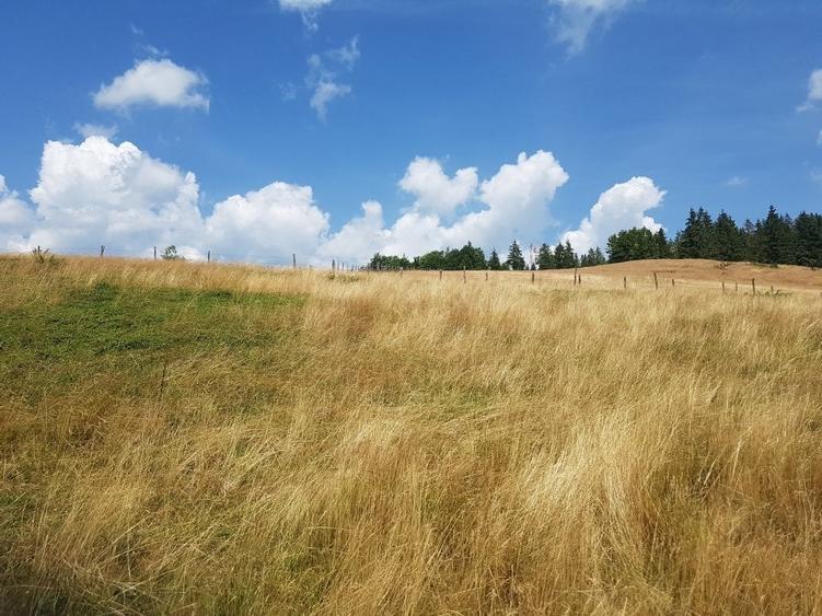 Teren Construcții extravilan de 7200 mp, în Arieșeni