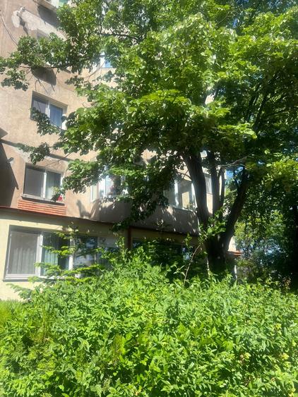 Garsonieră decomandată, mobilată în Inel II