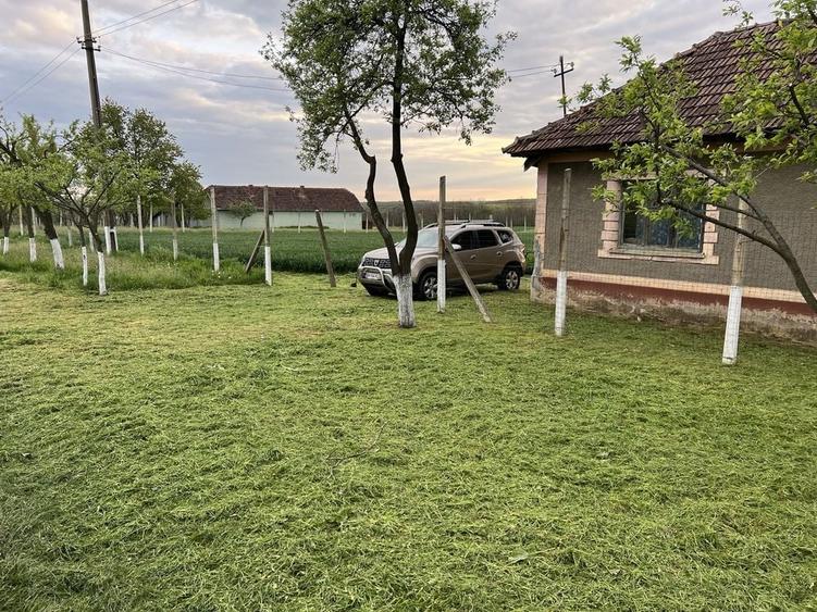Spațiu comercial, în Crestur