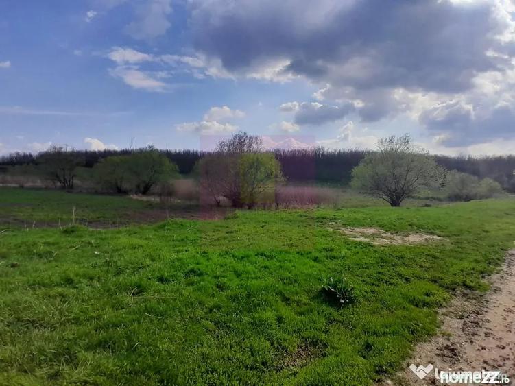 Teren în Buturugeni