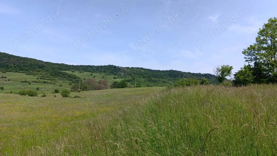Teren de 30000 mp, în Saschiz