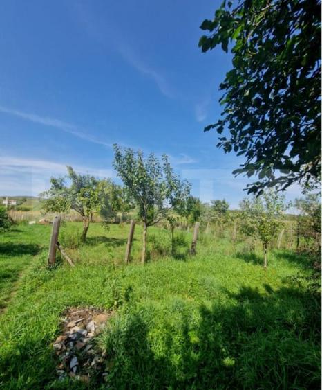 Casă cu 2 camere cu Teren 1600 Mp în Uriu