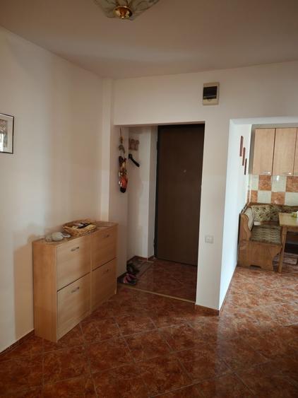 Apartament cu 3 camere decomandat, mobilat în Parcul Circului