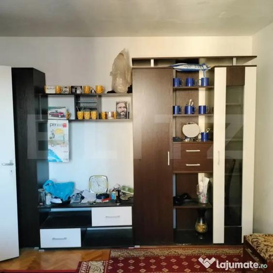 Apartament cu 2 camere semidecomandat, mobilat în Mureșeni