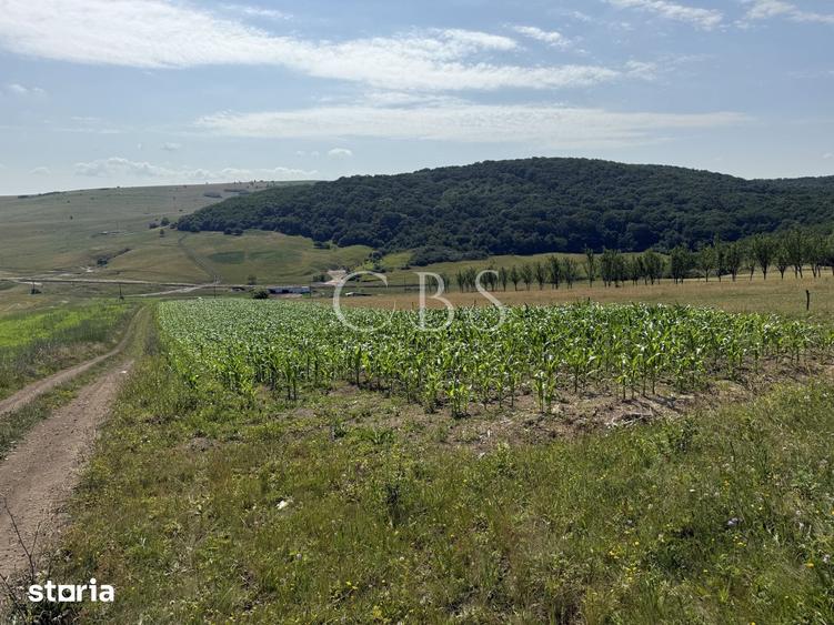 Teren de 5800 mp, în Dezmir