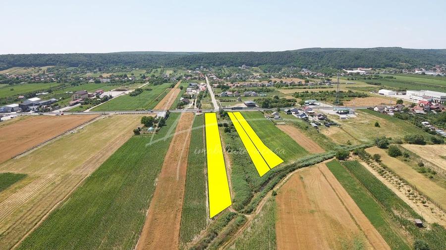 Teren Construcții intravilan de 7427 mp, în Argeșelu