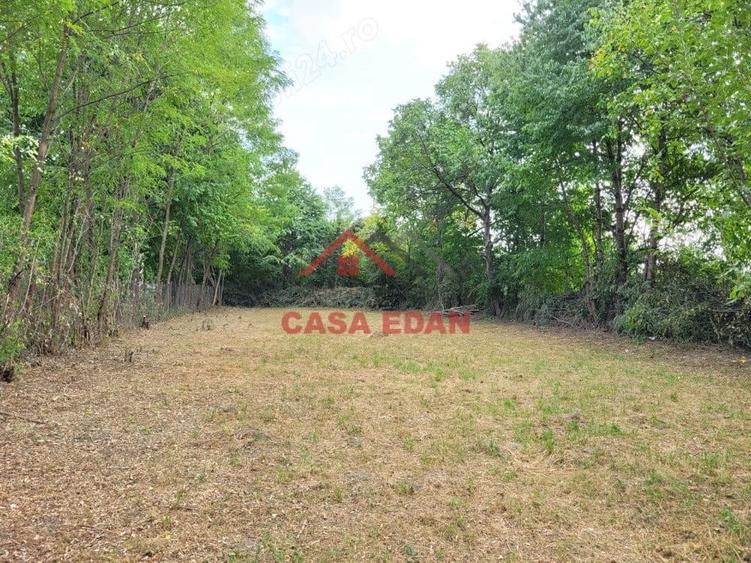 Casă cu Teren 2093 Mp în Bănești