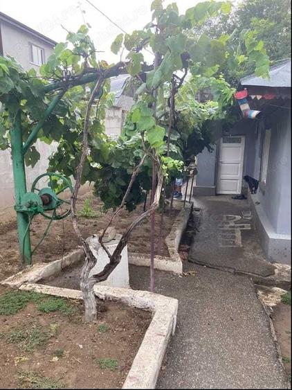 Casă cu 3 camere cu Teren 190 Mp în Pantelimon