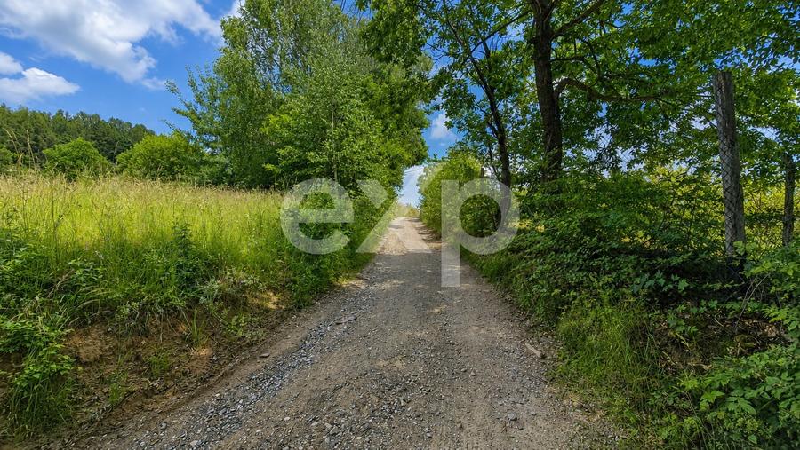 PANORAMA POIANA MĂRULUI | Teren cu potențial de dezvoltare zona  After Hills - 4