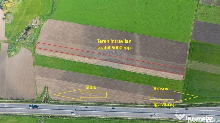 Teren intravilan, 5000 mp, Stupini, str Pomiculturii - 1