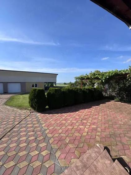 Casă cu Teren 2500 Mp în Siret