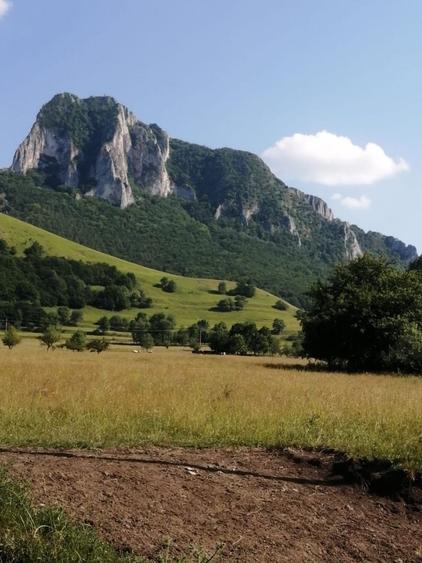 Spațiu comercial, în Rimetea