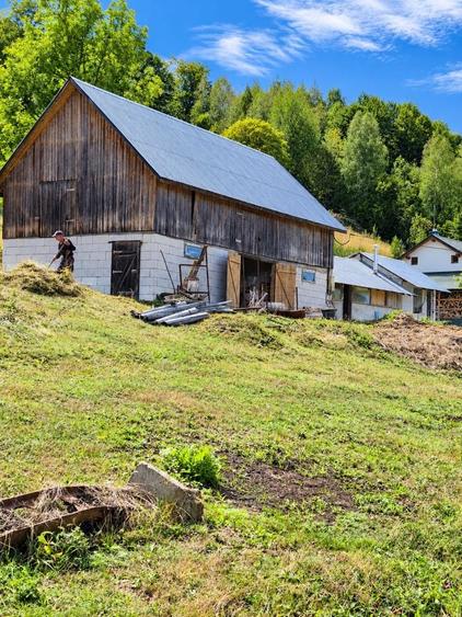 Vand proprietate cu teren Sohodol Alba - 6