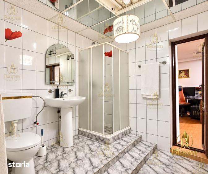 Proprietate cu poten?ial comercial reziden?ial 430 mp teren - 2