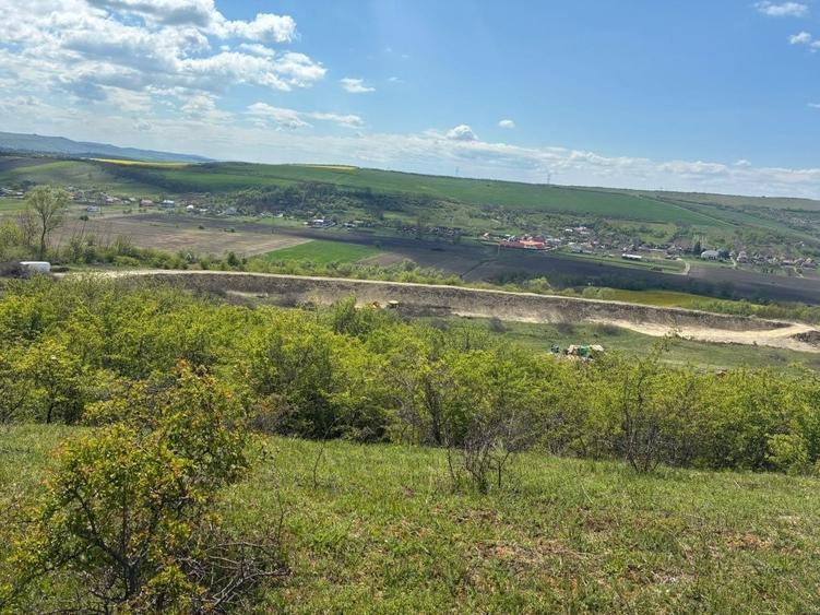 Teren de 45000 mp, în Fundătura