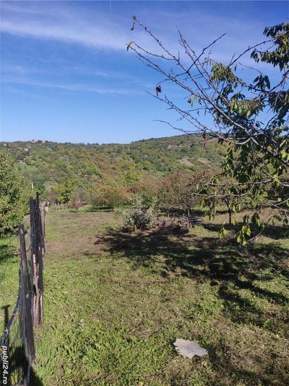 Teren de 1500 mp, în Podgoria