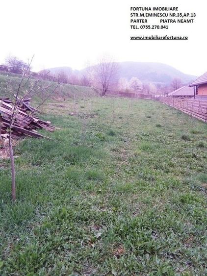 Teren de 2000 mp, în Alexandru cel Bun