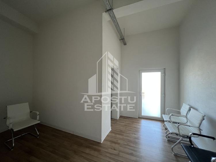 Spațiu comercial, de 314 mp, în Iosefin