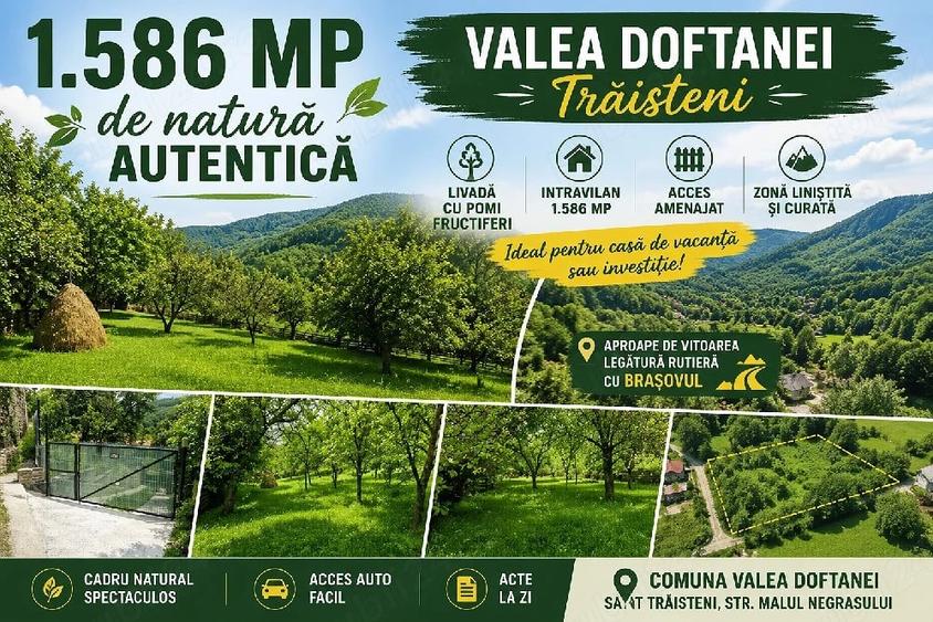 Teren de 1586 mp, în Valea Doftanei