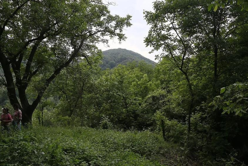 Teren de 2700 mp, în Telega