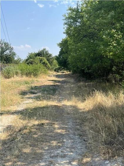 Teren Construcții intravilan de 2337 mp, în Tileagd