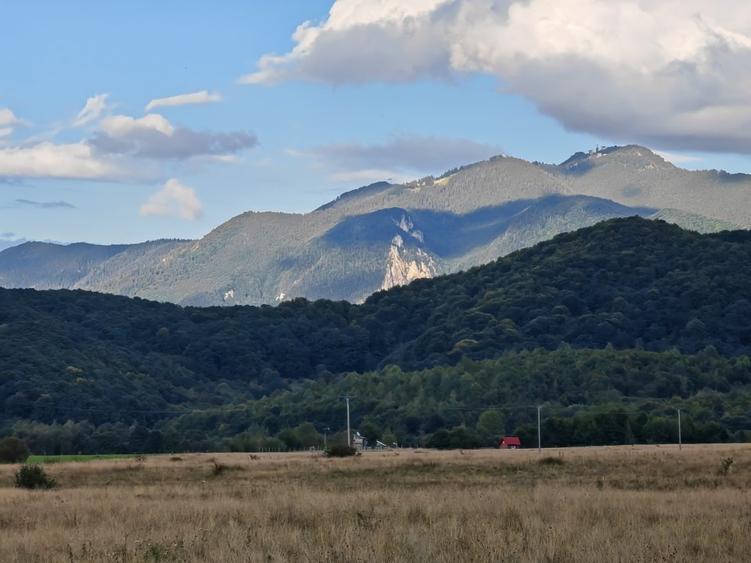 Teren Construcții intravilan de 9800 mp, în Glăjărie
