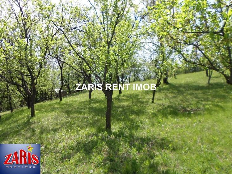 Teren de 3658 mp, în Bobicești