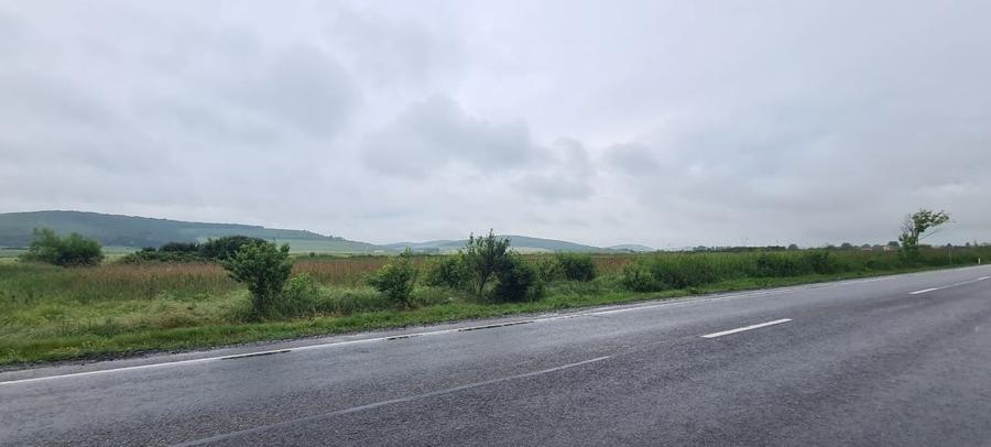 Teren extravilan de 7200 mp, în Gornești