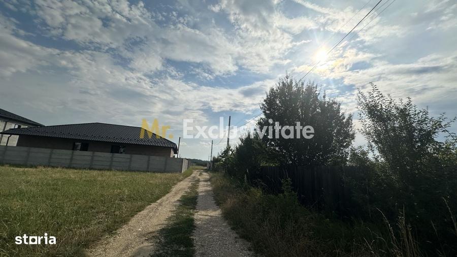 Spațiu comercial, în Albota